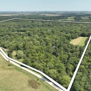 Muscatine County Iowa 73.4+/- Acres