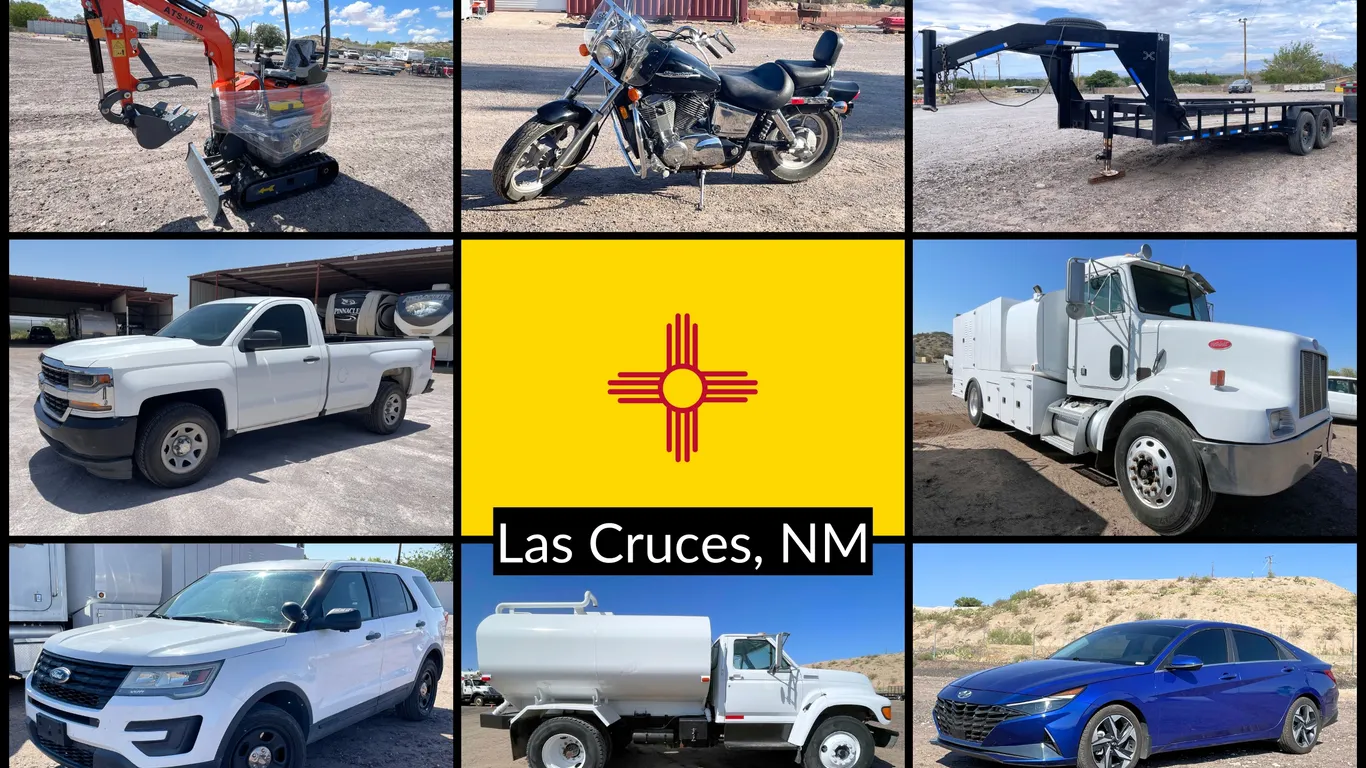 1 of 2 September 2026 Las Cruces Consignment Auction