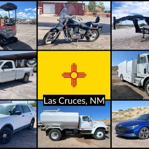 1 of 2 September 2026 Las Cruces Consignment Auction