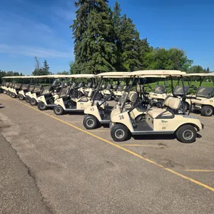 Oct 10 (9 am) - Oct 13 (9 am) Unreserved Online Retirement / Close-out Auction for Twin Willow Golf Club Ltd. 26JG