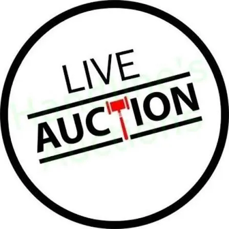 Donna Belosevic _ LIVE On-Site Auction