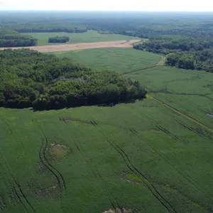 REAL ESTATE - PINE FALLS, MB 321 ACRES WITH HOME PARCEL