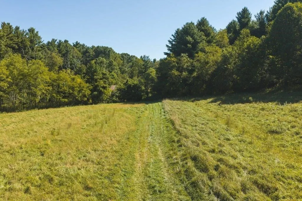Large Recreational Tract for Sale in Bent Mountain VA