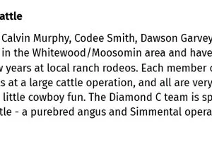 Regina CWA Ranch Rodeo Team Charity Auction, SK, CAN
