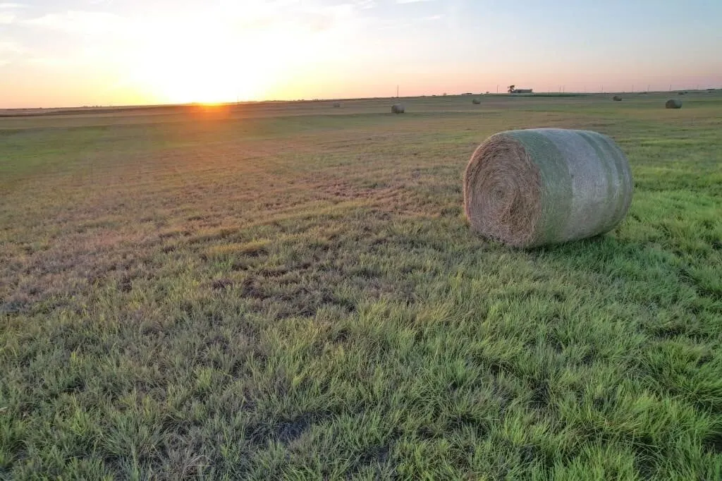 ±960 Acres Western Oklahoma Land for Sale