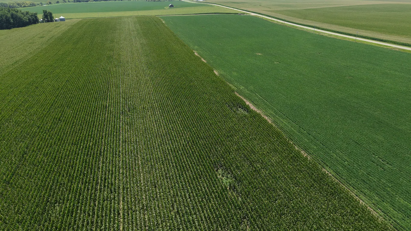 November 19, 2026 @10:30 A.M.--Live Public Auction Of 60+/- Acres