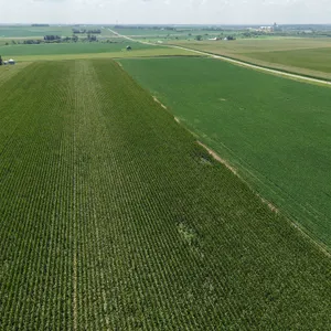 November 19, 2026 @10:30 A.M.--Live Public Auction Of 60+/- Acres