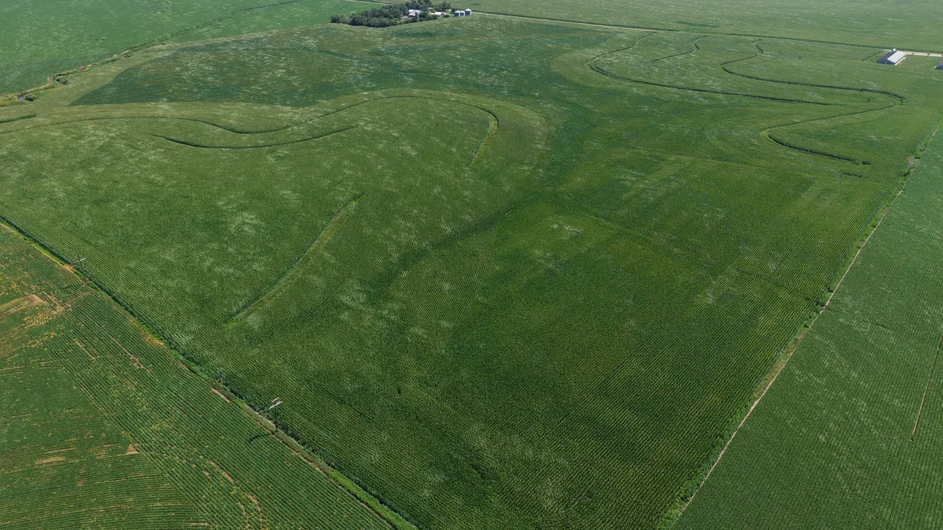 November 17, 2026 @10:30 A.M.--Live Public Auction Of 2 Contiguous Tracts Of Farmland