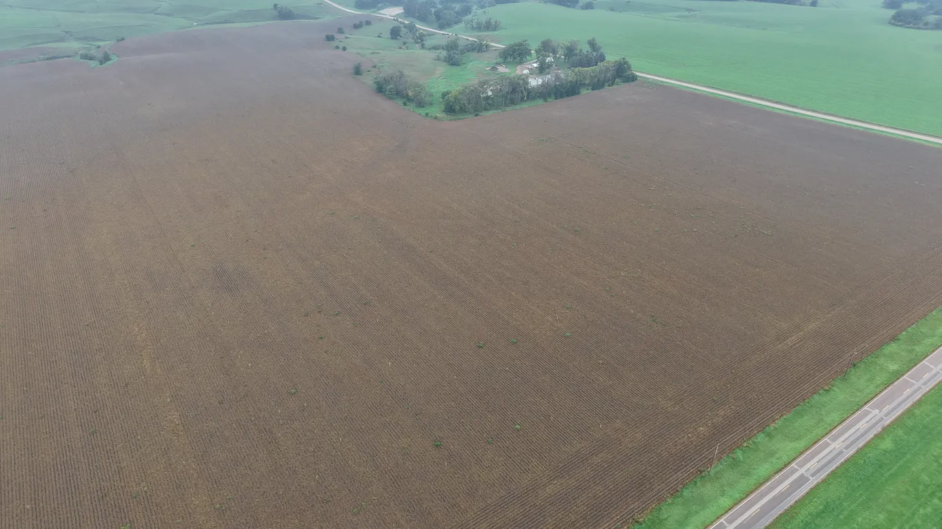 November 21, 2026 @10:30 A.M. --Live Public Auction Of 143+/- Acres