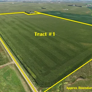 November 23, 2026 @10:30 A.M.--Live Public Land Auction 