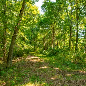 Premier Noble County Hunting Property