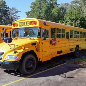 Manchester/Shortsville CSD-NY #49334