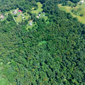 Cambridge Hunting, Cabin