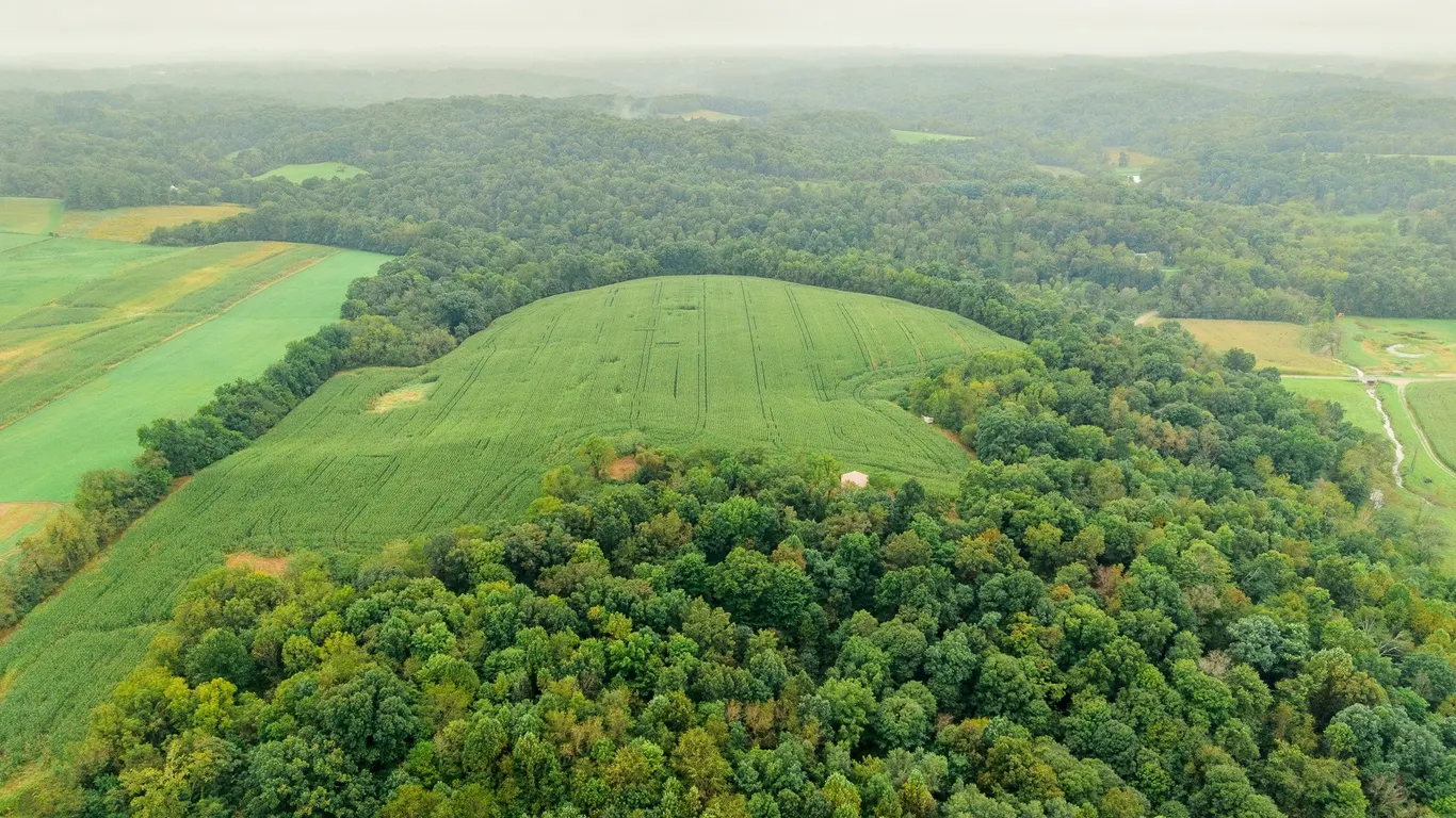 Adamsville Area Hunting, Building Sites
