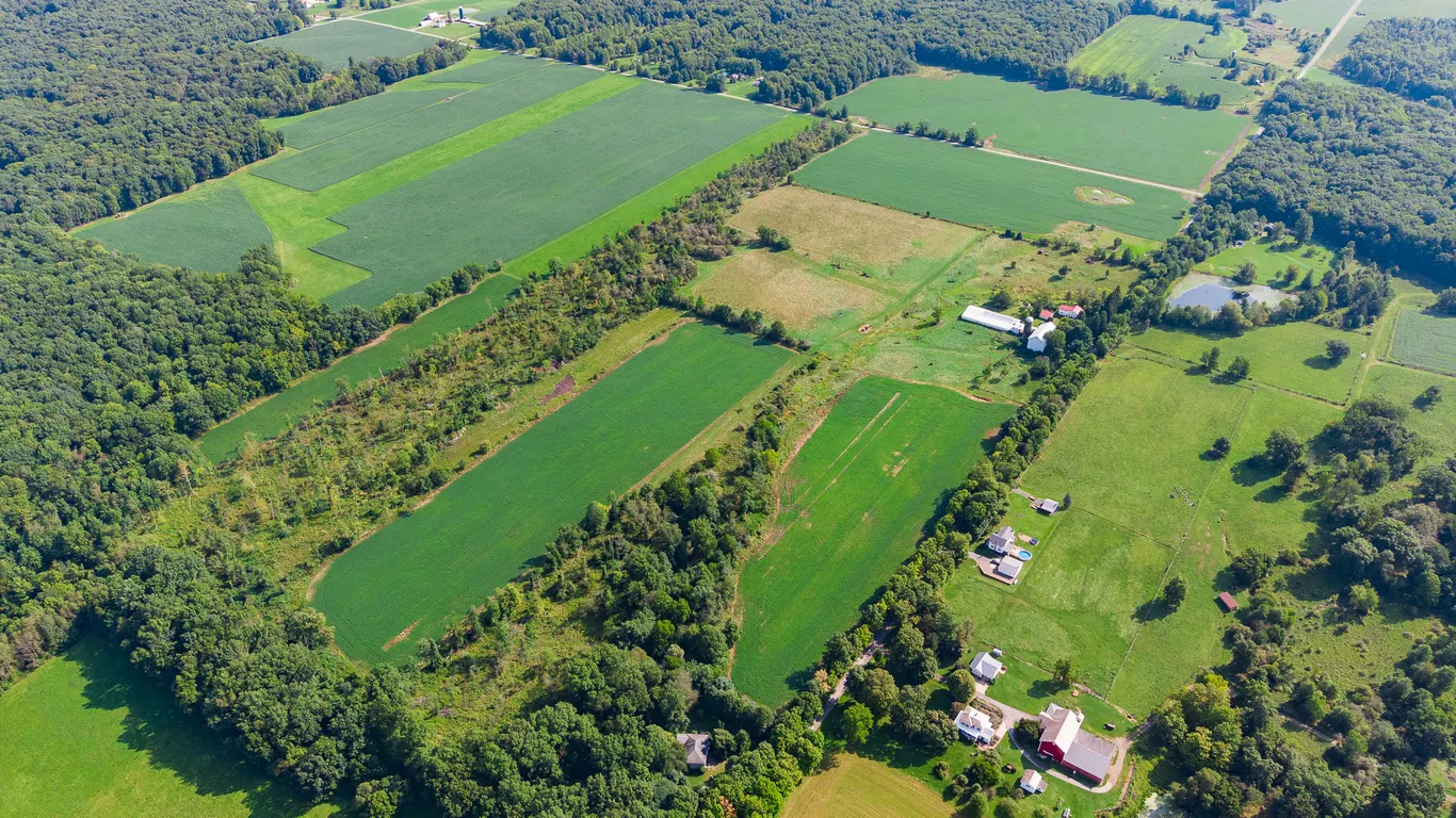Rainbow Hill Farm Retirement Auction
