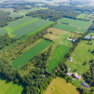 Rainbow Hill Farm Retirement Auction