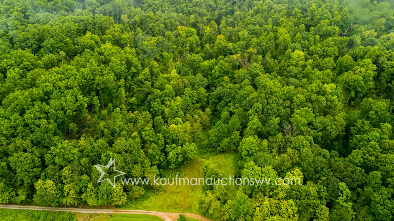 162 +/- Acres, Jackson County West Virginia Land