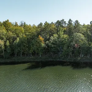 Buildable Lake Lots on Long Lake Near Iron River, WI