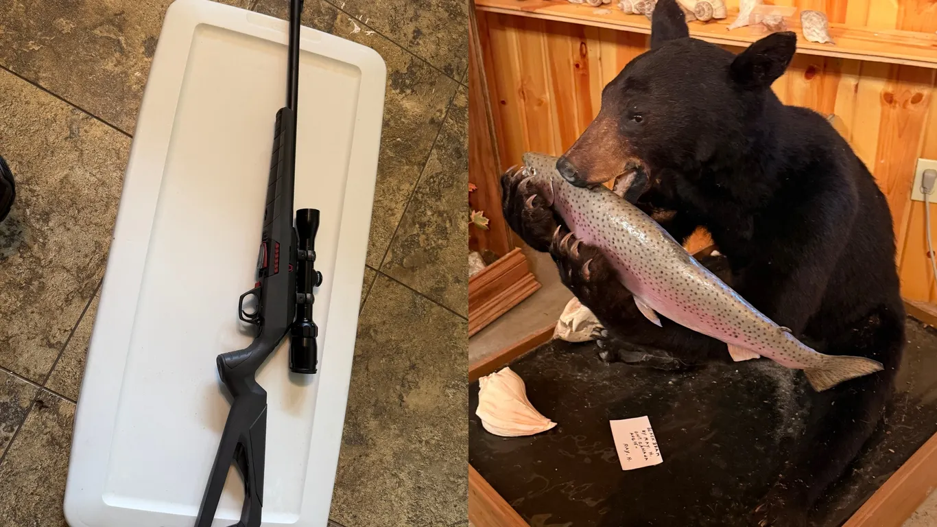 Hershberger Taxidermy Liquidation Auction