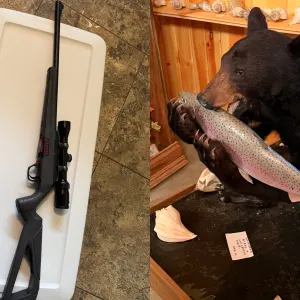 Hershberger Taxidermy Liquidation Auction