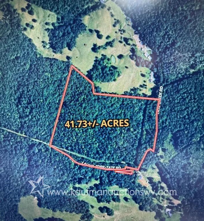 41+/- Acres Braxton County Land (WV)