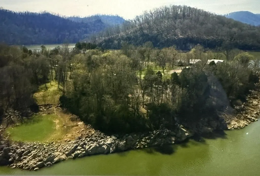 Waterfront Lot for Sale on Cherokee Lake in Whitesburg, TN!