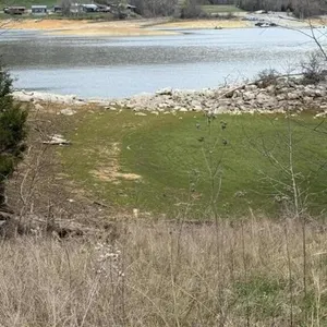 Waterfront Lot for Sale on Cherokee Lake in Whitesburg, TN!