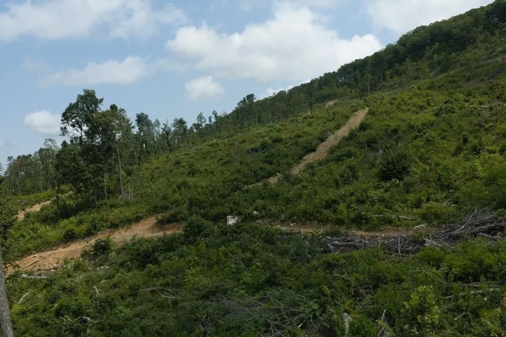 Acreage for Sale in Sneedville, TN