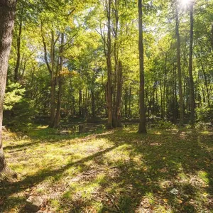 Recreational Land for Sale in Hiwassee, VA!