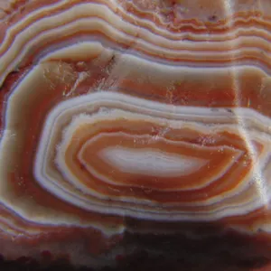 Lapidary Consignment Auction