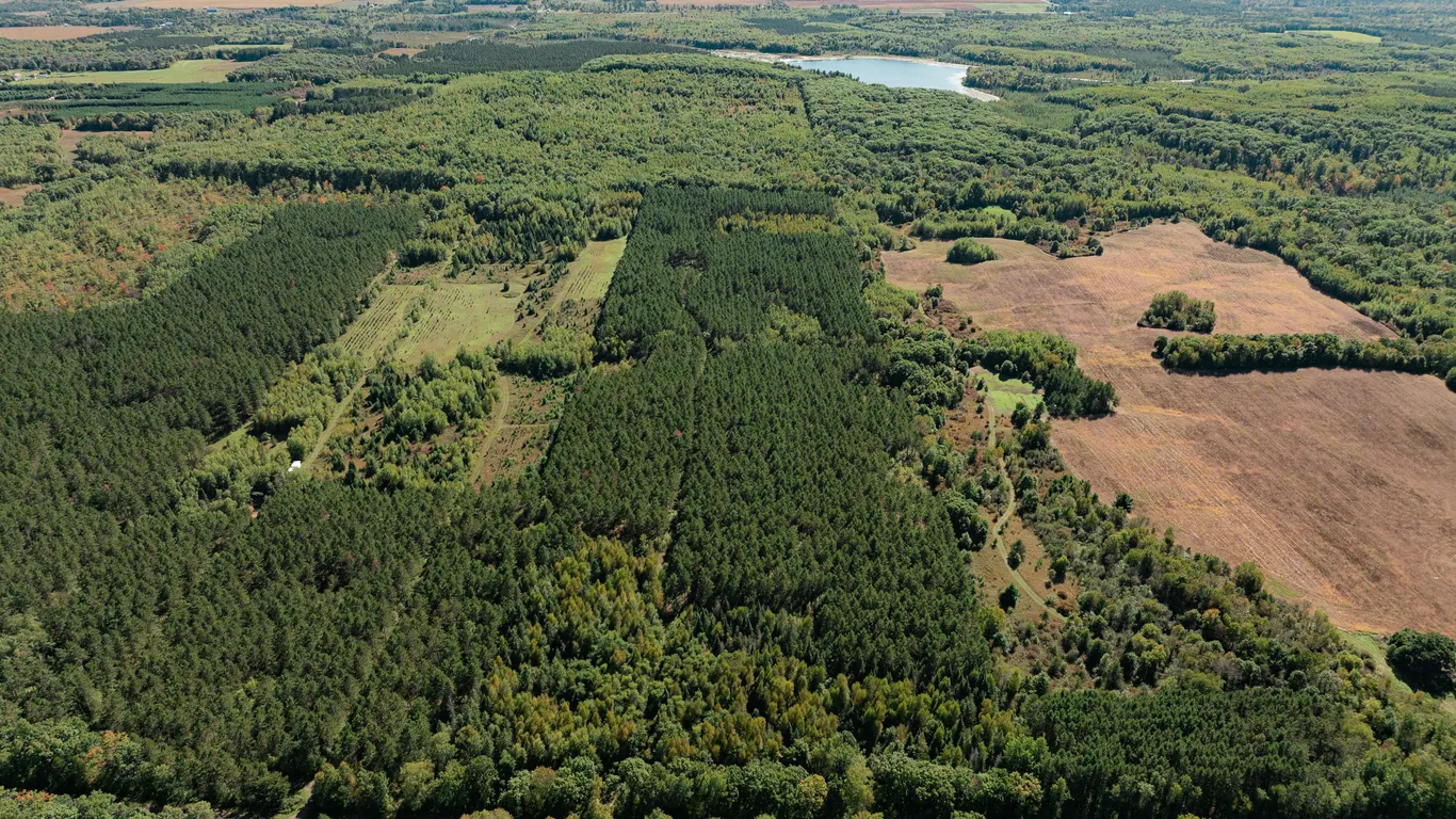 40± Acres of Wooded Hunting Land Offered in 2 Parcels Near Trego, WI