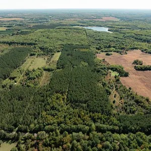 40± Acres of Wooded Hunting Land Offered in 2 Parcels Near Trego, WI
