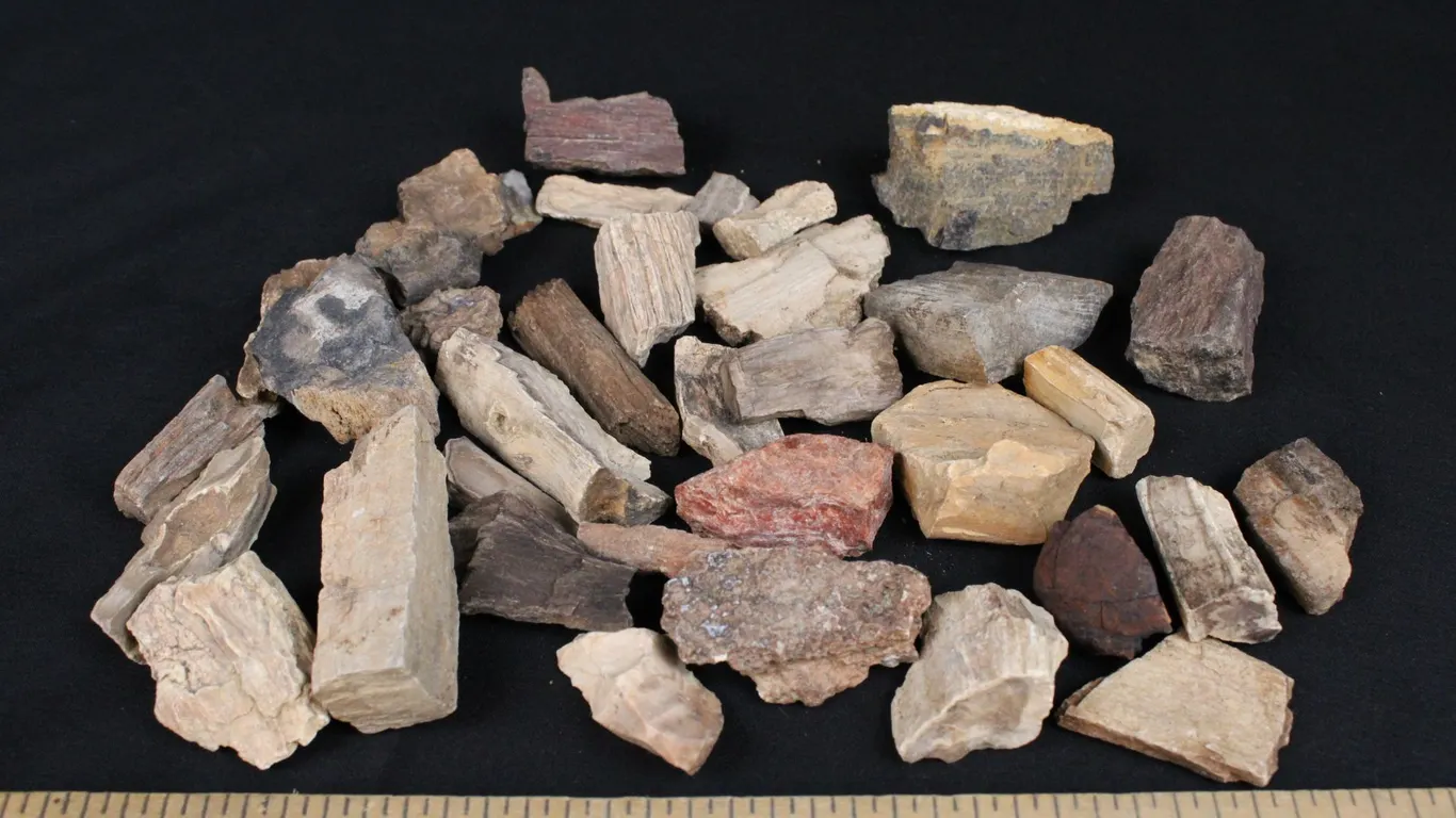 Rock, Minerals, Gemstones and Cabochons (Shipping Available)