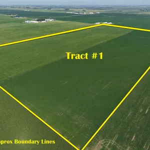 November 10, 2026 @10:30 A.M.--Live Public Land Auction Of 3 Tracts Of Land