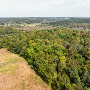 Absolute 255+/- Acres Perry County Land
