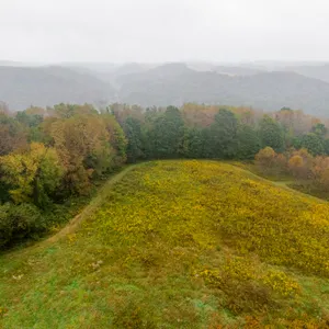 32 Acre Jewett Ohio Land