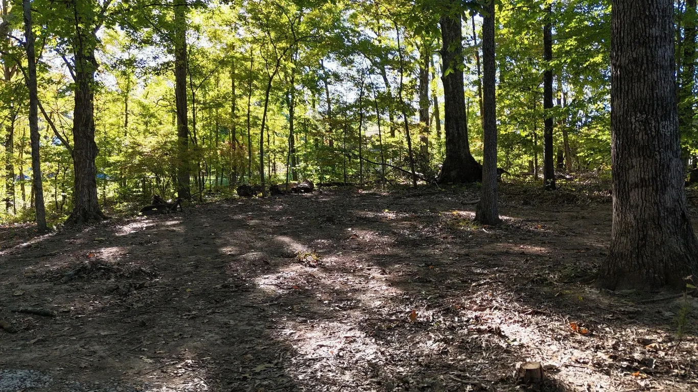 ONLINE AUCTION: 2.5± Wooded Acres on Bloomington’s East Side
