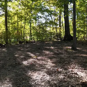 ONLINE AUCTION: 2.5ï¿½ Wooded Acres on Bloomingtonï¿½s East Side