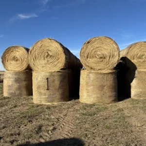 Collins Internet Only Hay Auction