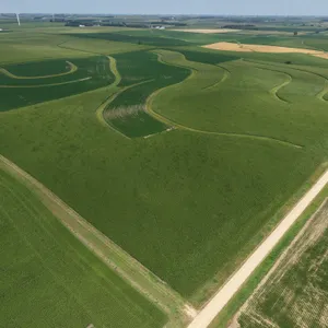 December 4, 2026 @10:30 A.M.--Live Public Land Auction Of 160+/- Acres