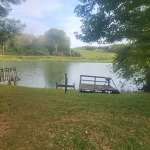 Timed Online Real Estate Auction - Waterfront Lot • Pony Creek Lake