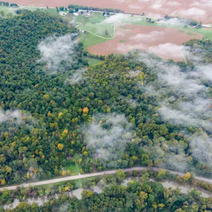 40 Acre Blissfield Hunting Haven, Cabin