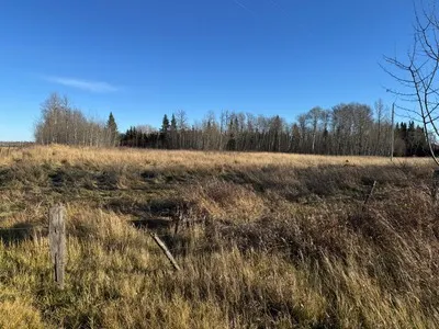 Unreserved Grazing Lease Real Estate Auction - Loran Andrichuk - Rich Lake, AB