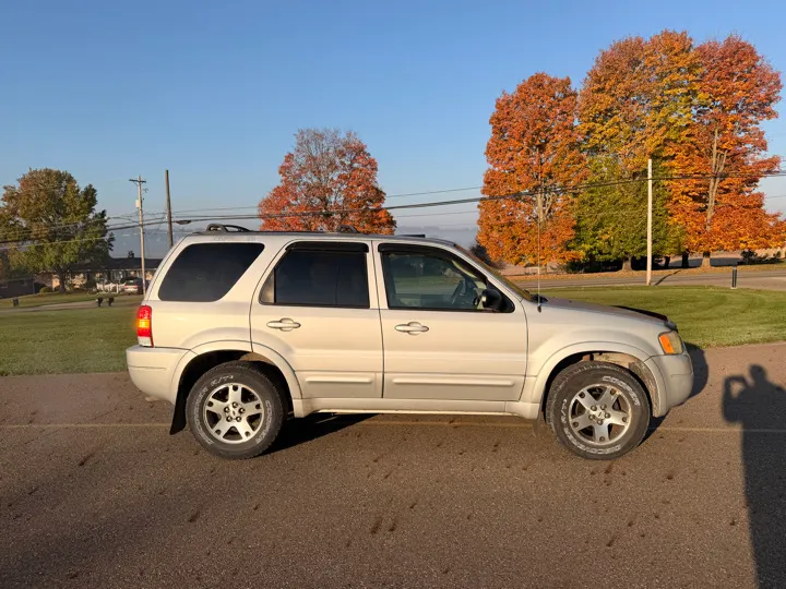 GEISER CONTENT AUCTION