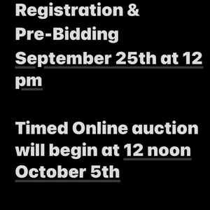 Timed Online Fall Consignment