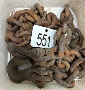 8' CHAIN