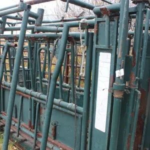 HI HOG CHUTE W/ NECK EXTENDER & PALP CAGE