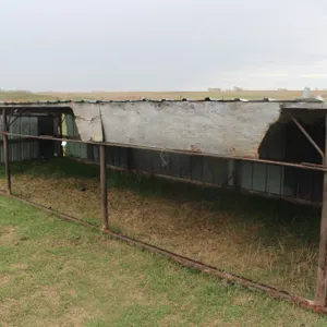 20' CALF SHELTER W/ STEEL PIPE FRAME