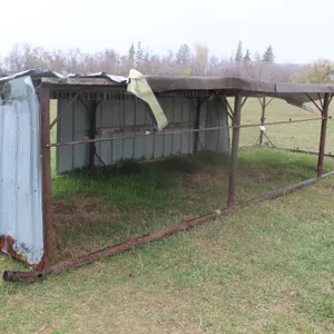 20' CALF SHELTER W/ STEEL PIPE FRAME (NEEDS TIN REPAIR)