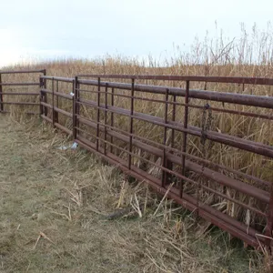 30' FREE STAND PANEL 3" - 5 BAR W/ 16' 360 GATE